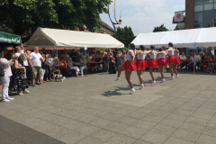 Sommerfest2017-31